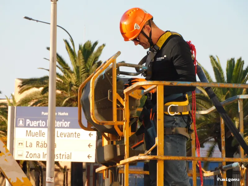 Plaguinsa | Tratamiento Termitas | Fumigación Cucarachas