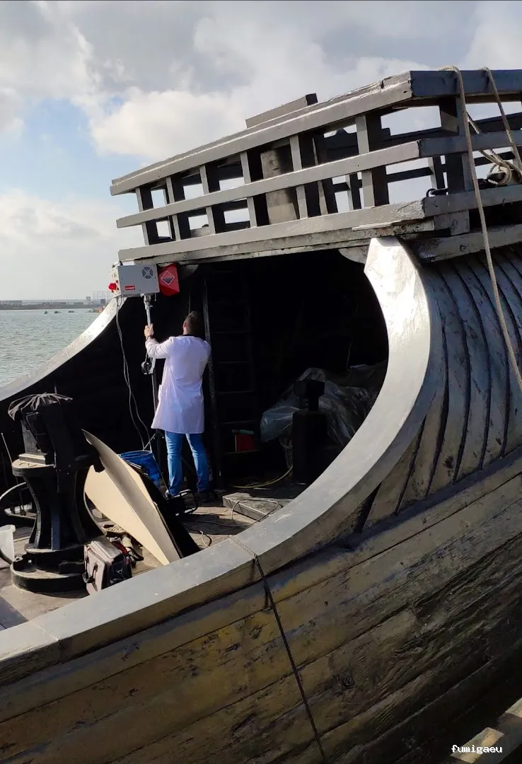 Plaguinsa | Tratamiento Termitas | Fumigación Cucarachas