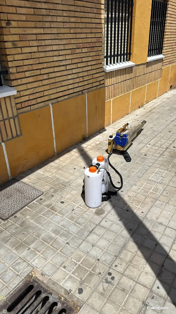 Plaguinsa | Tratamiento Termitas | Fumigación Cucarachas