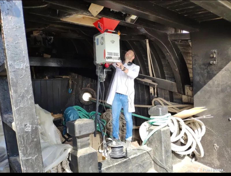 Plaguinsa | Tratamiento Termitas | Fumigación Cucarachas