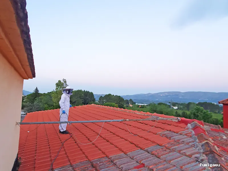 Sanydes | Control de plagas | Desinfección | Higiene Ambiental | Elche | Alicante