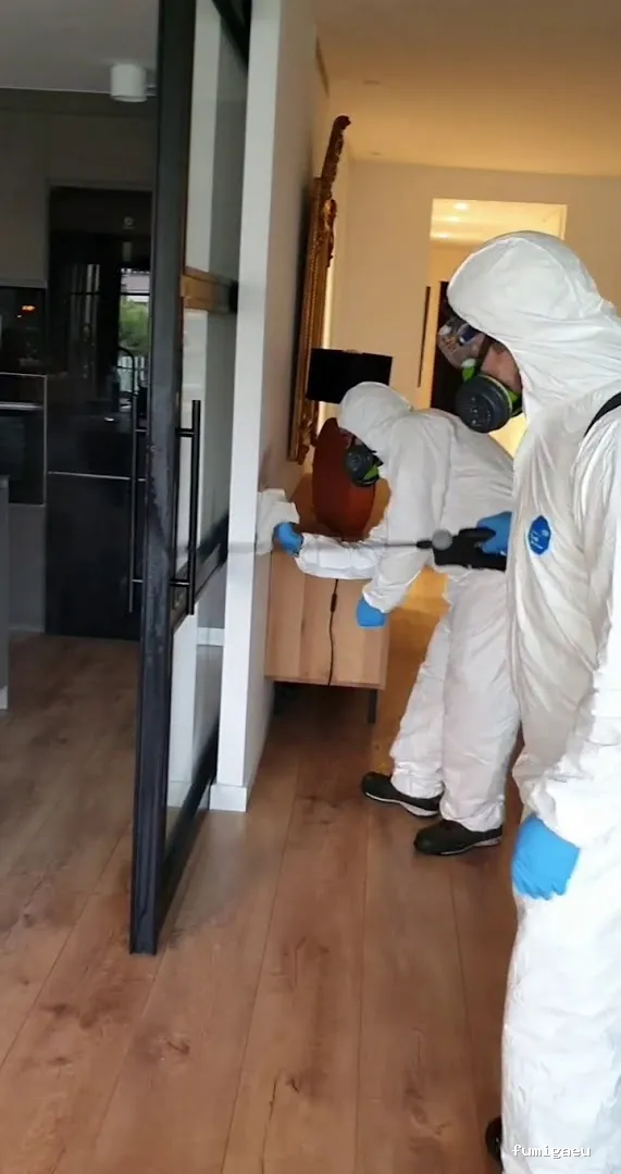 Sanydes | Control de plagas | Desinfección | Higiene Ambiental | Elche | Alicante