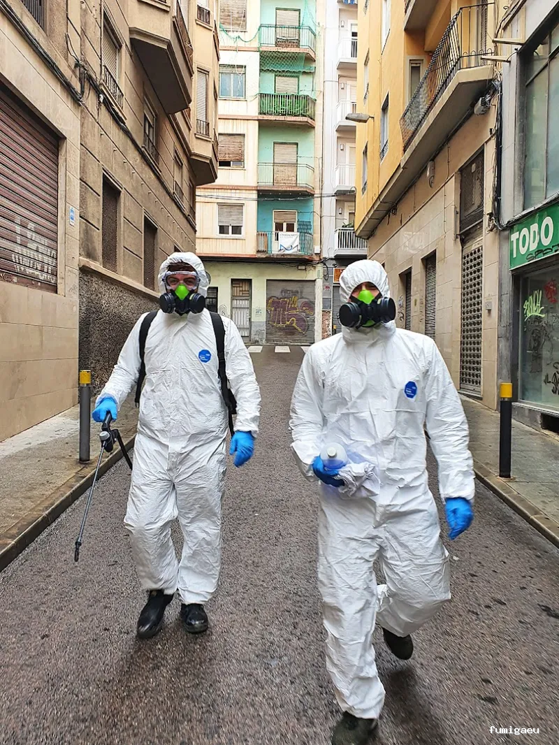 Sanydes | Control de plagas | Desinfección | Higiene Ambiental | Elche | Alicante