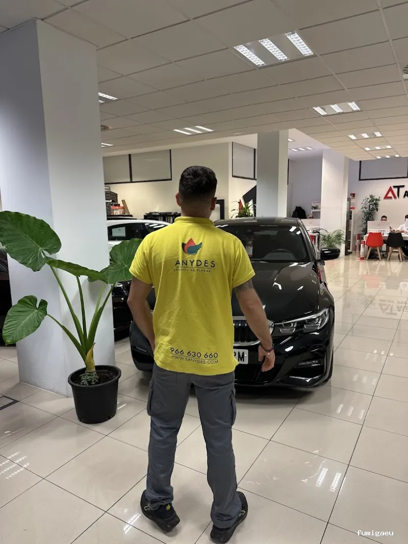 Sanydes | Control de plagas | Desinfección | Higiene Ambiental | Elche | Alicante