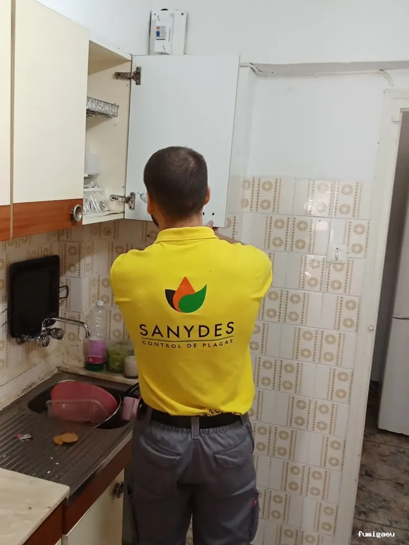 Sanydes | Control de plagas | Desinfección | Higiene Ambiental | Elche | Alicante