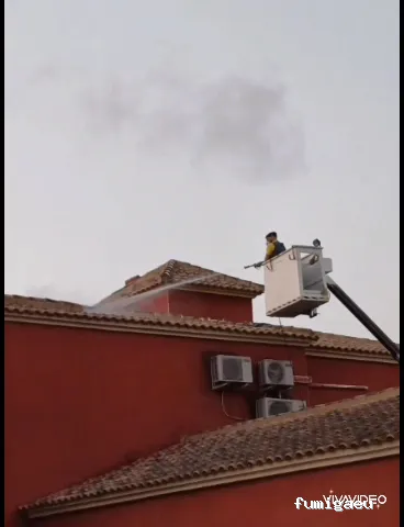 Sanydes | Control de plagas | Desinfección | Higiene Ambiental | Elche | Alicante