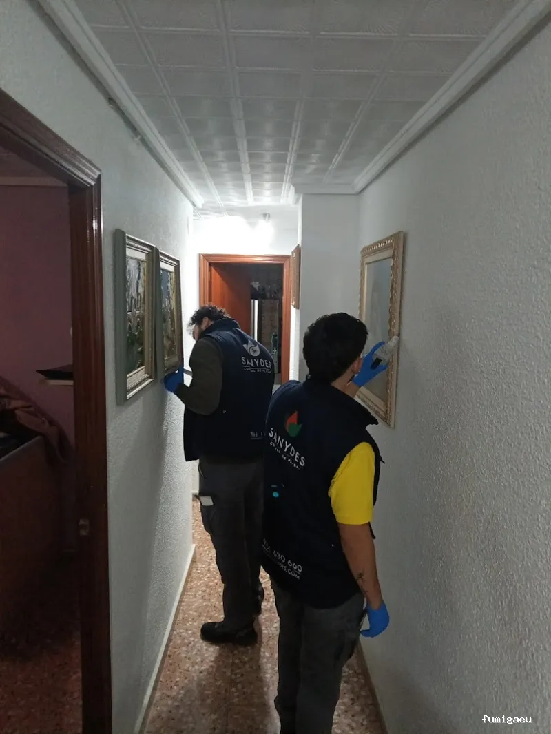 Sanydes | Control de plagas | Desinfección | Higiene Ambiental | Elche | Alicante