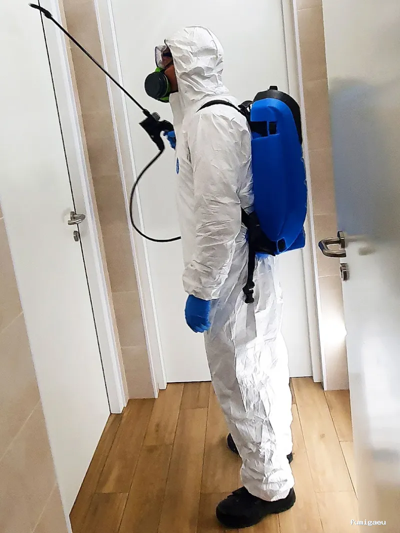 Sanydes | Control de plagas | Desinfección | Higiene Ambiental | Elche | Alicante