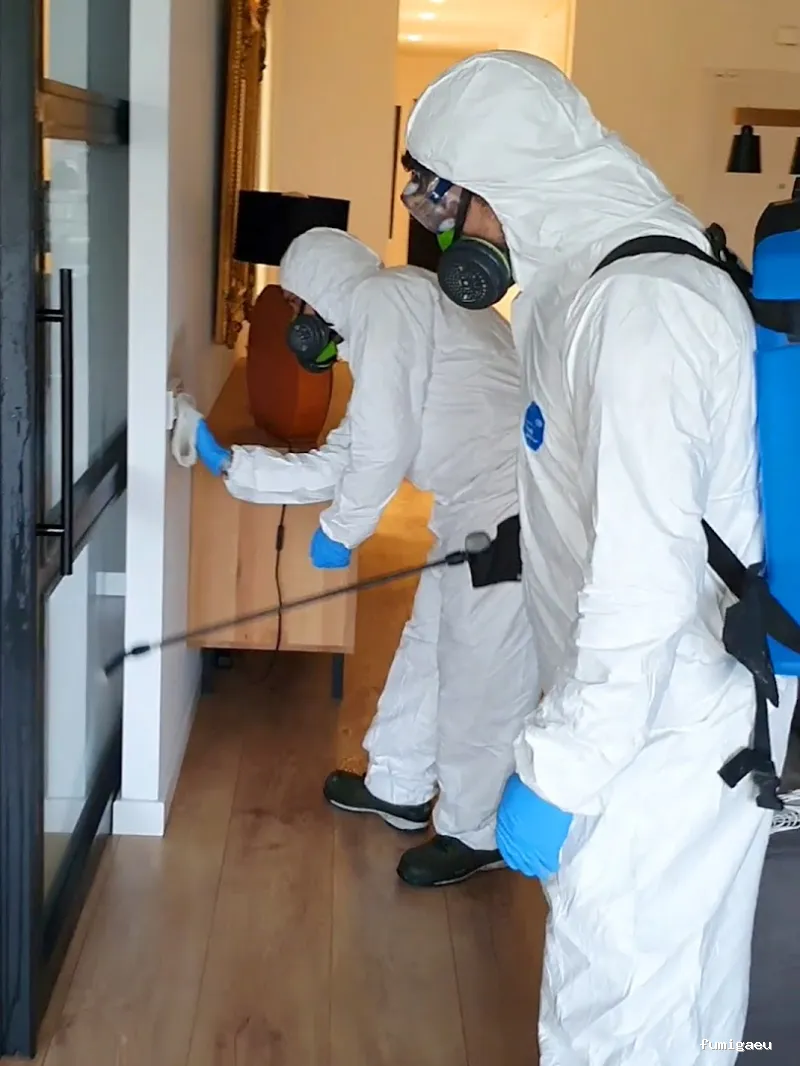 Sanydes | Control de plagas | Desinfección | Higiene Ambiental | Elche | Alicante