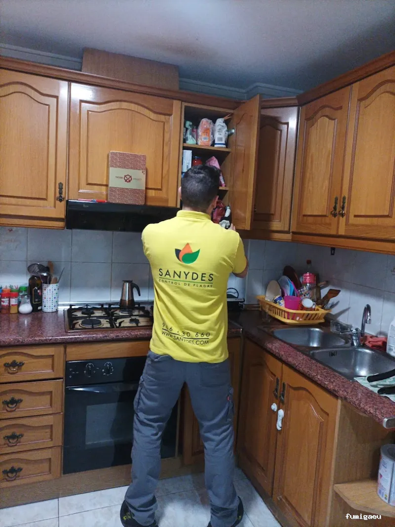 Sanydes | Control de plagas | Desinfección | Higiene Ambiental | Elche | Alicante