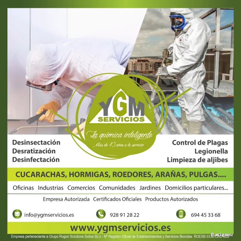 YGM Servicios