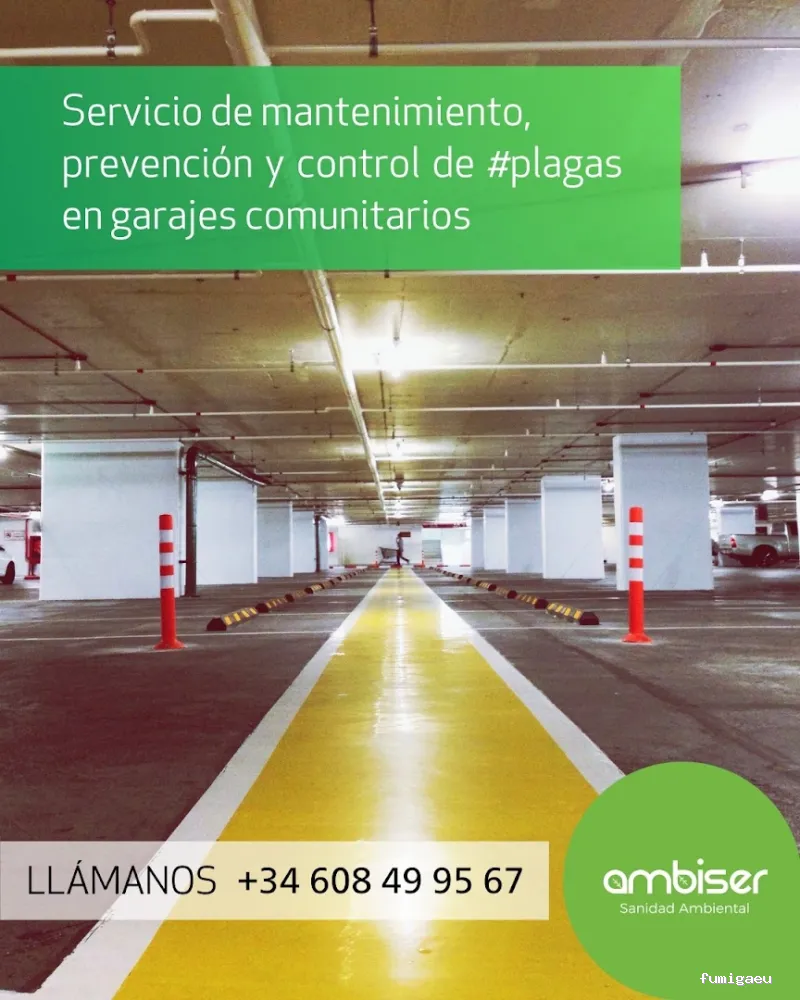 AMBISER Sanidad Ambiental