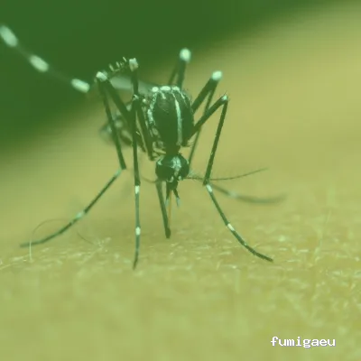 AMBISER Sanidad Ambiental