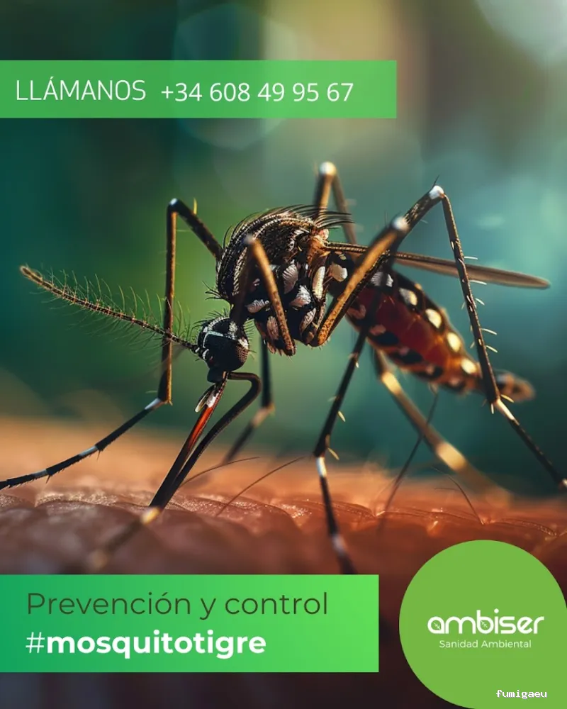 AMBISER Sanidad Ambiental