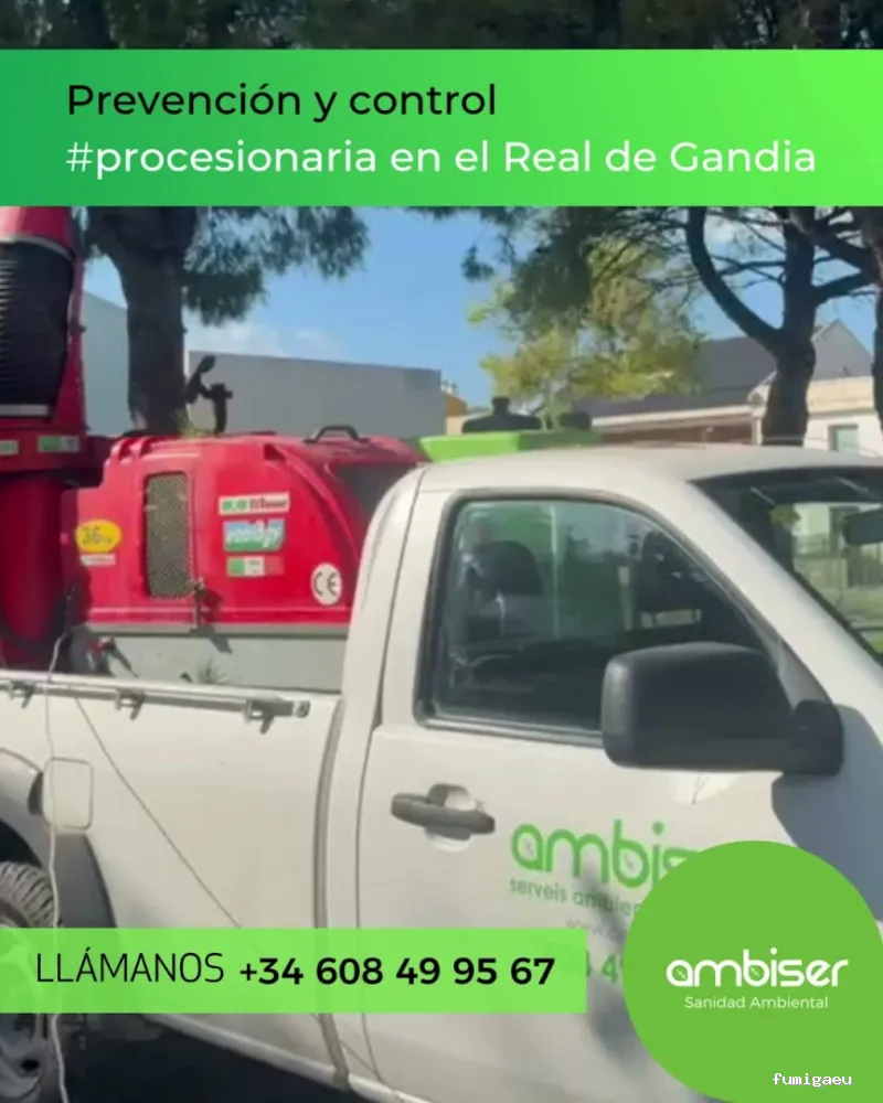 AMBISER Sanidad Ambiental