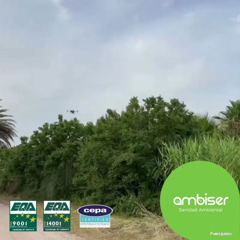 AMBISER Sanidad Ambiental