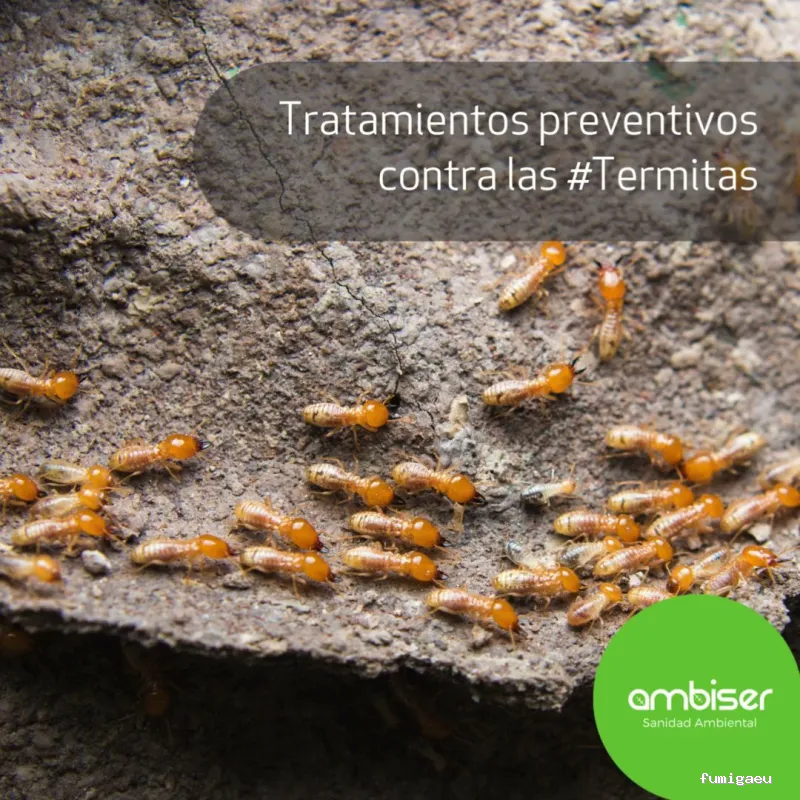 AMBISER Sanidad Ambiental