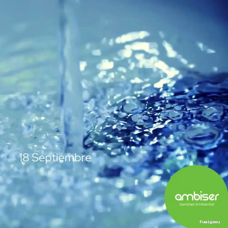 AMBISER Sanidad Ambiental