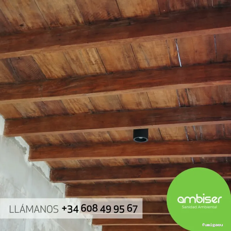 AMBISER Sanidad Ambiental