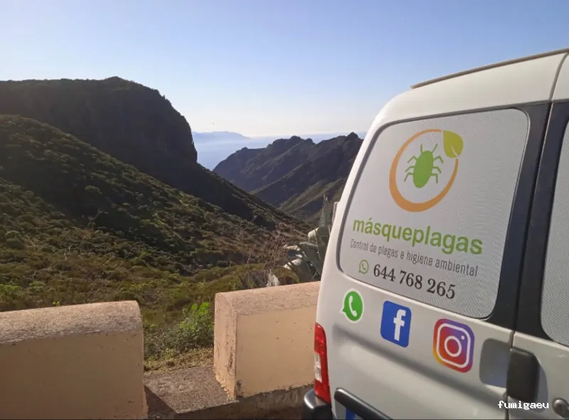 Masqueplagas | Control de Plagas | Chinches | Legionella