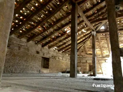 Duprat control de plagas