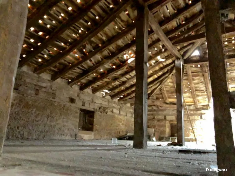 Duprat control de plagas