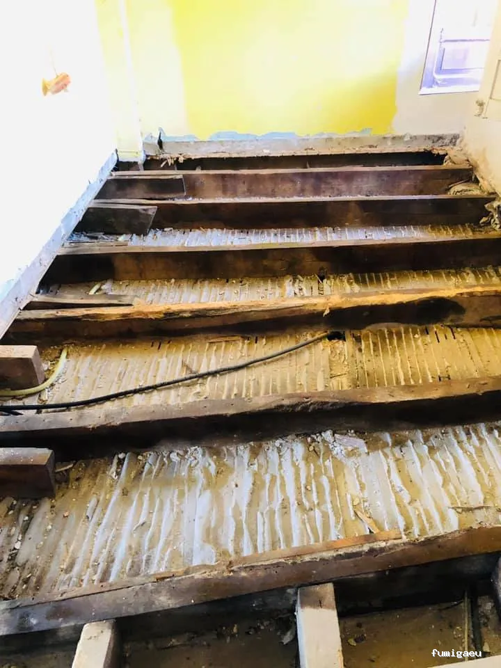 Duprat control de plagas