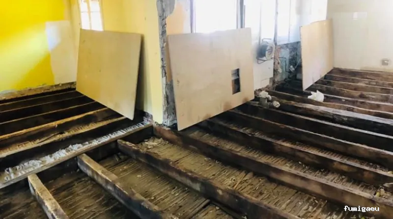 Duprat control de plagas