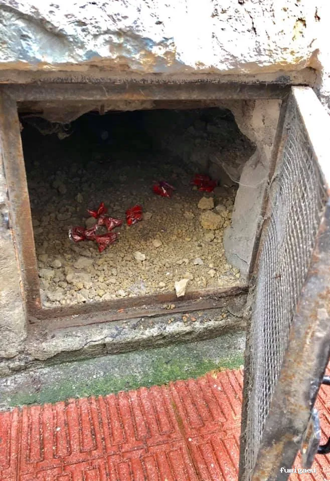 Duprat control de plagas