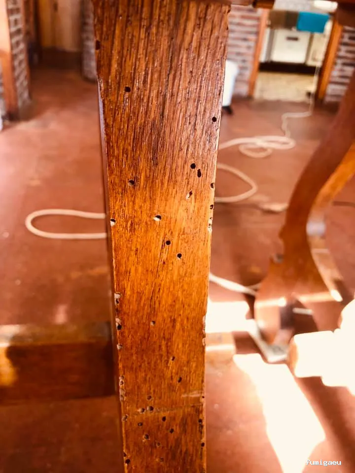 Duprat control de plagas