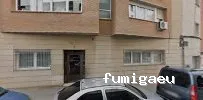 Plagas Egara - Fumigación , Desratización y Desinsectación