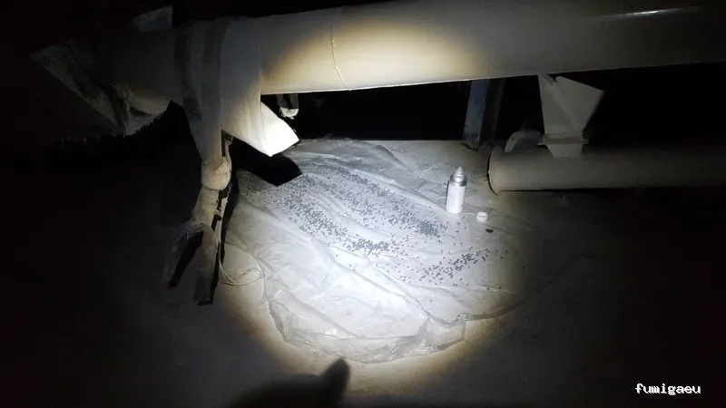 Proteccion Tecnica la Mancha