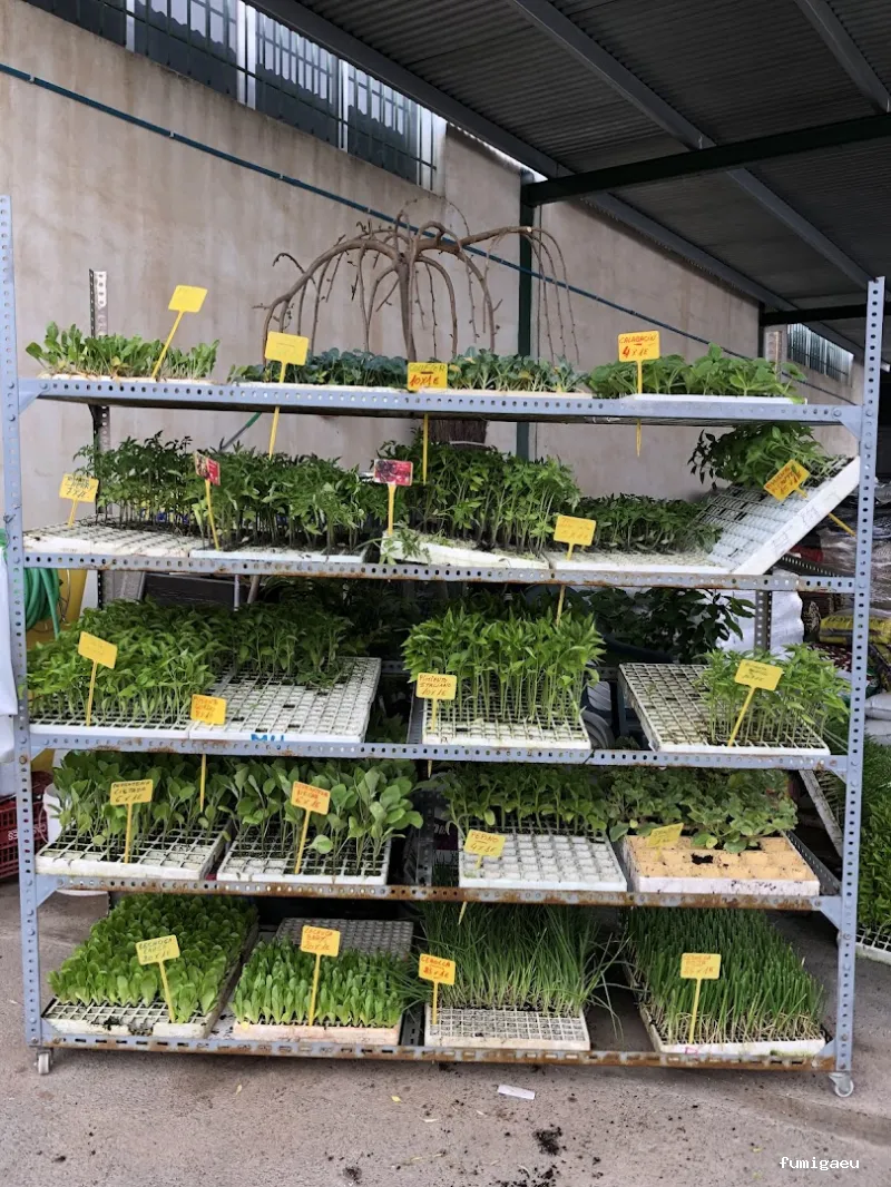 Agro Fertil González S.l.