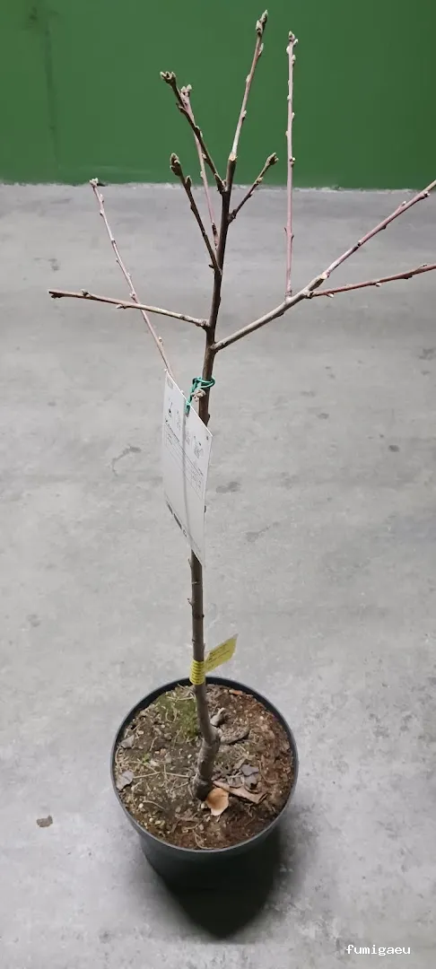 Agro Fertil González S.l.