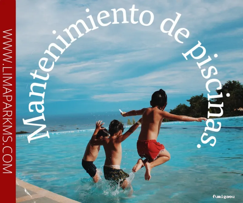 Limapark Multiservicios S.L