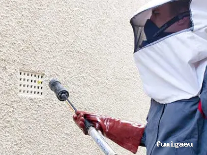 Rentokil Control de Plagas en Murcia