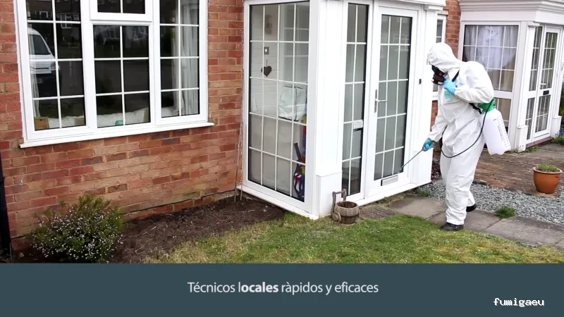 Rentokil control de plagas en Gipuzkoa