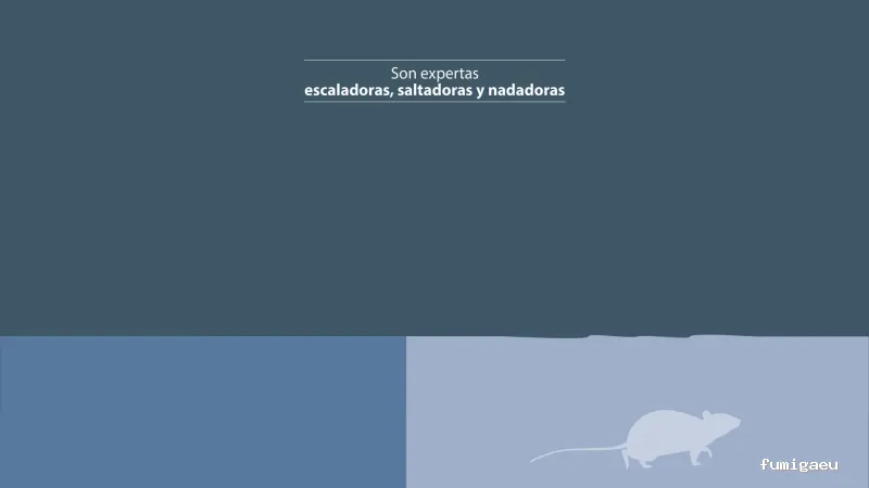 Rentokil control de plagas en Gipuzkoa