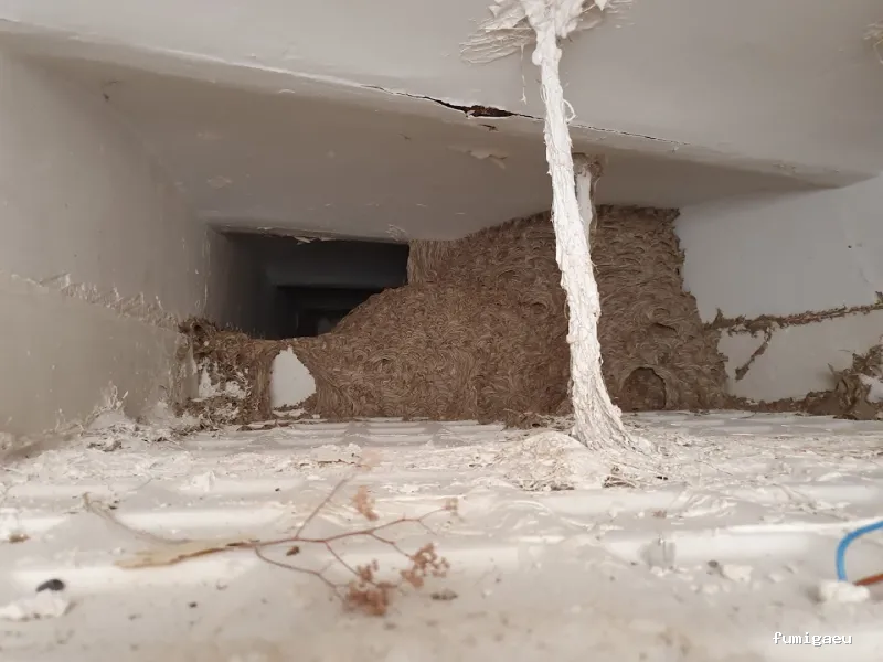 BIOCIDAS CONTROL DE PLAGAS. DESINFECCIÓN, DESINSECTACIÓN, DESRATIZACIÓN.