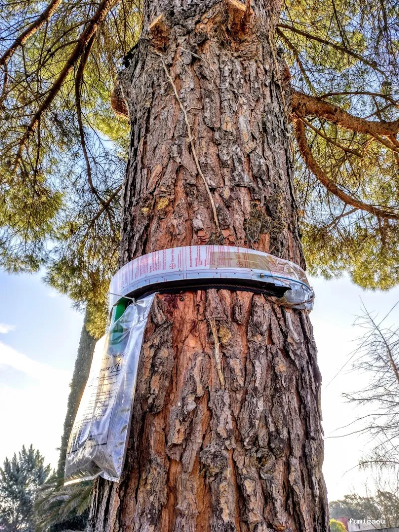 XALIMA SALUD AMBIENTAL