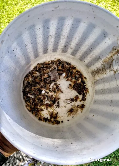 XALIMA SALUD AMBIENTAL