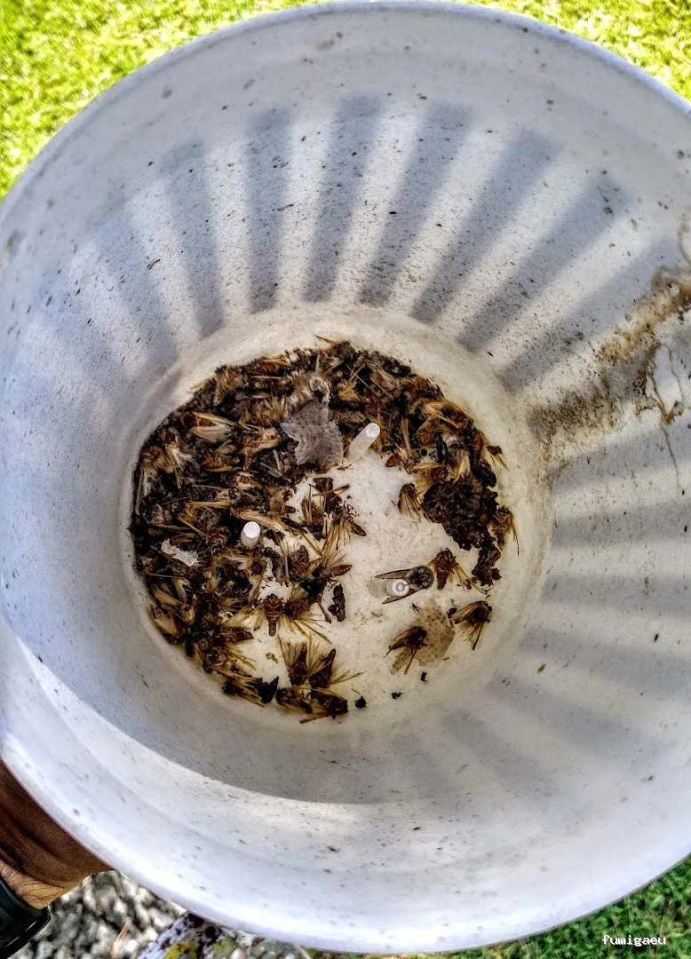 XALIMA SALUD AMBIENTAL