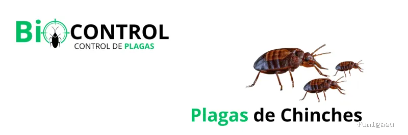 Control de Plagas BioControl