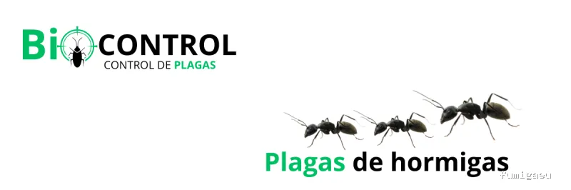 Control de Plagas BioControl