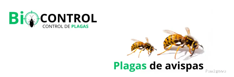Control de Plagas BioControl