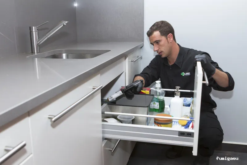 Insec Control de Plagas y Sanidad Ambiental