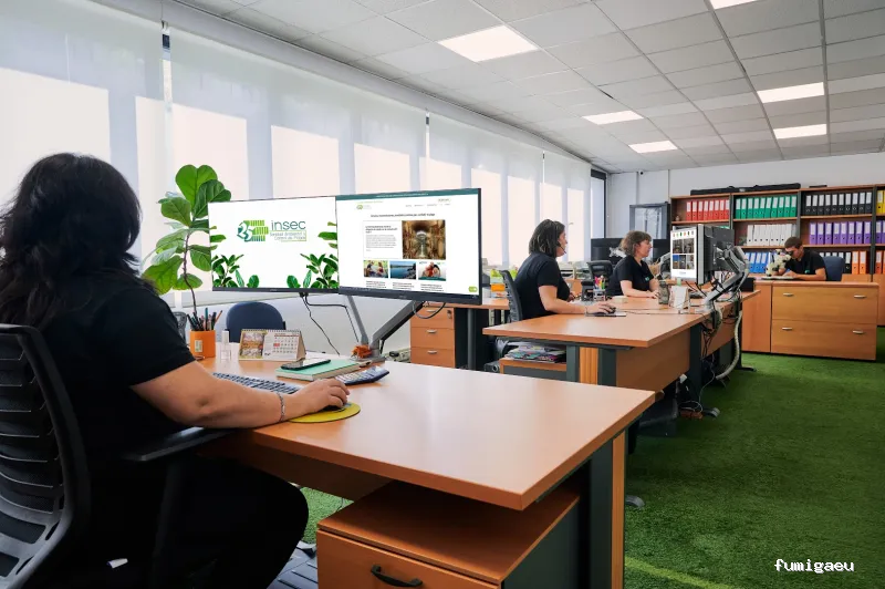 Insec Control de Plagas y Sanidad Ambiental