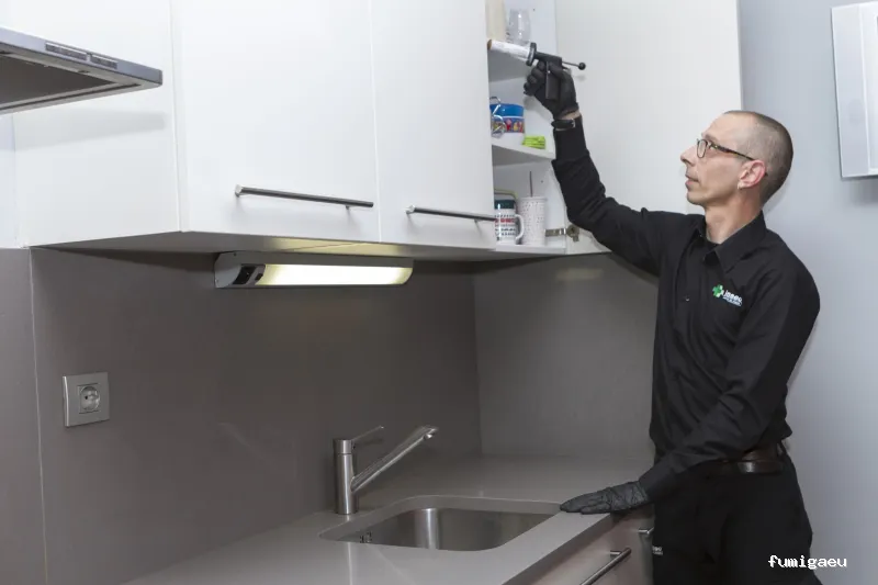 Insec Control de Plagas y Sanidad Ambiental