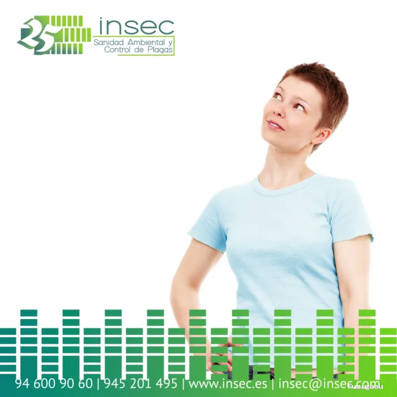 Insec Control de Plagas y Sanidad Ambiental