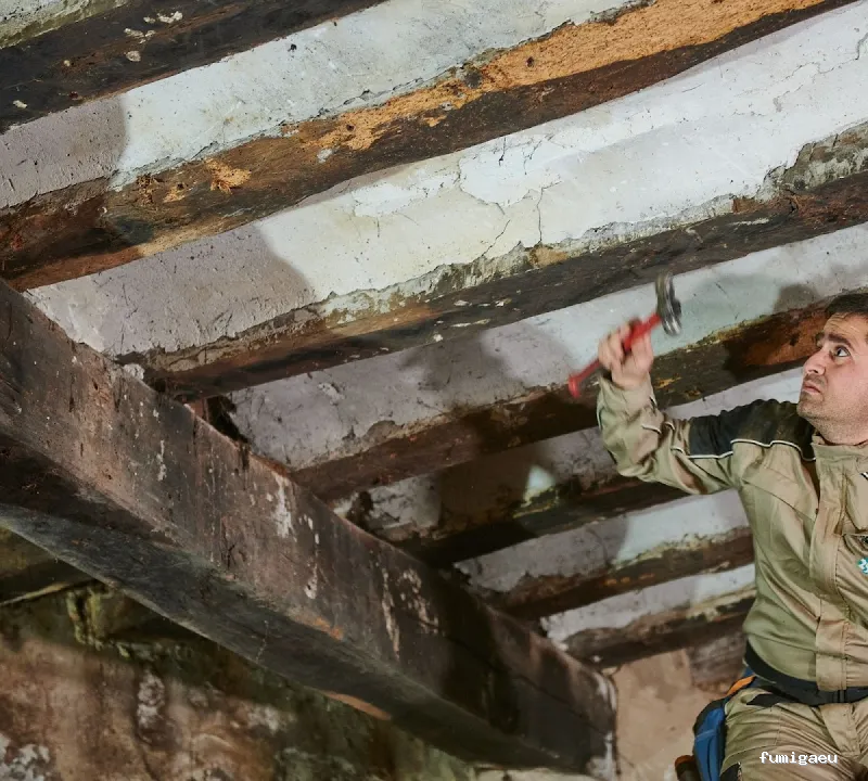 Insec Control de Plagas y Sanidad Ambiental